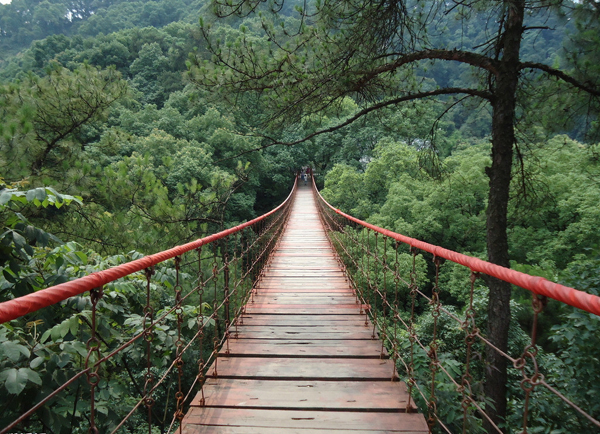 1617700257659229.jpg t01b33f629f976198e6.jpg